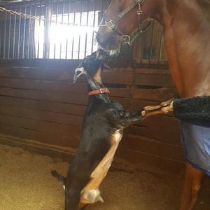 Meet your Posher, Jack